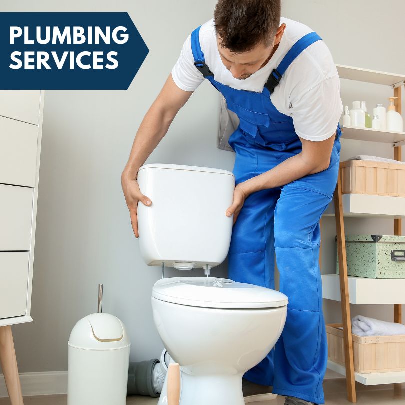 Plumbing Company in Rockwood, IL